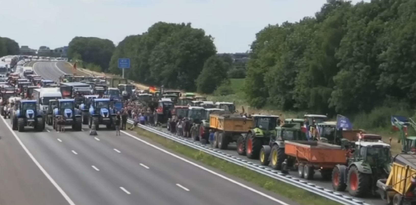 Dutch farm protests